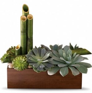 Thirsting for a gift that is contemporary, beautiful and inspires a soothing sense of calm? Look no further than this exclusive Zen garden. Full of stunning succulents, it's super-low-maintenance. It's awesome for an office and in perfect harmony at home.