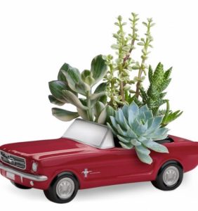 In the perfect shade of poppy red, this classic ceramic '65 Ford Mustang presents an array of living succulent plants.