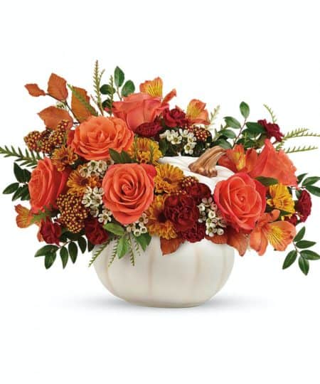 Bursting from an enchanting white ceramic pumpkin, this fabulous fall mix of roses and mums is a magical addition to your autumnal gatherings!  Orange roses, orange alstroemeria, miniature maroon carnations, and yellow viking daisy spray chrysanthemums are accented with white waxflower, red cottage yarrow, huckleberry, grevillea, brown copper beech, and yellow preserved oak leaves. Delivered in an Enchanted Harvest Pumpkin. Approximately 17" W x 12 1/2" H